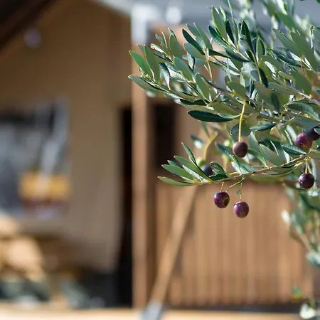Luxury tent Adriatic Heritage Glamping No2 With Jacuzzi *