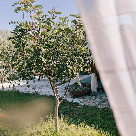 Adriatic Heritage Glamping No2 With Jacuzzi خيمة فخمة