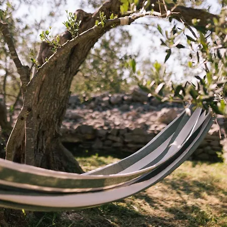 Campo de lujo Adriatic Heritage Glamping No2 With Jacuzzi *