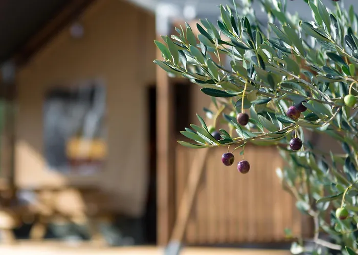 Campo de lujo Adriatic Heritage Glamping No2 With Jacuzzi *